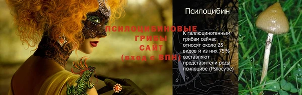 PSILOCYBIN Белокуриха