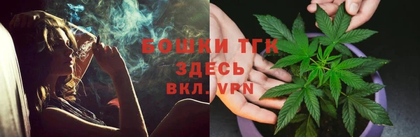PSILOCYBIN Белокуриха