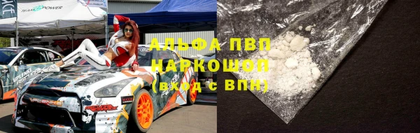 PSILOCYBIN Белокуриха