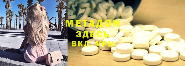 PSILOCYBIN Белокуриха