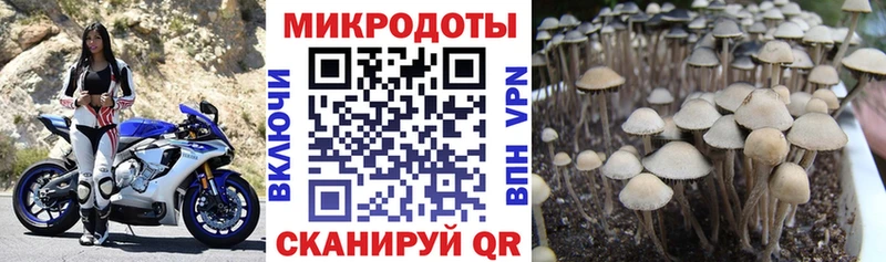 Псилоцибиновые грибы ЛСД  мега сайт  Брюховецкая 