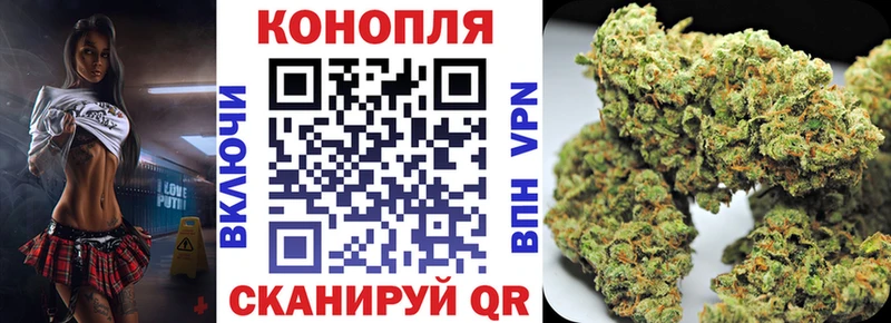 Бошки марихуана White Widow  Брюховецкая 